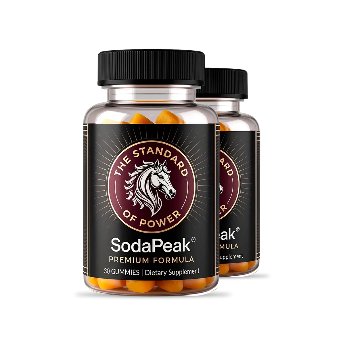 SodaPeak 2 Bottles