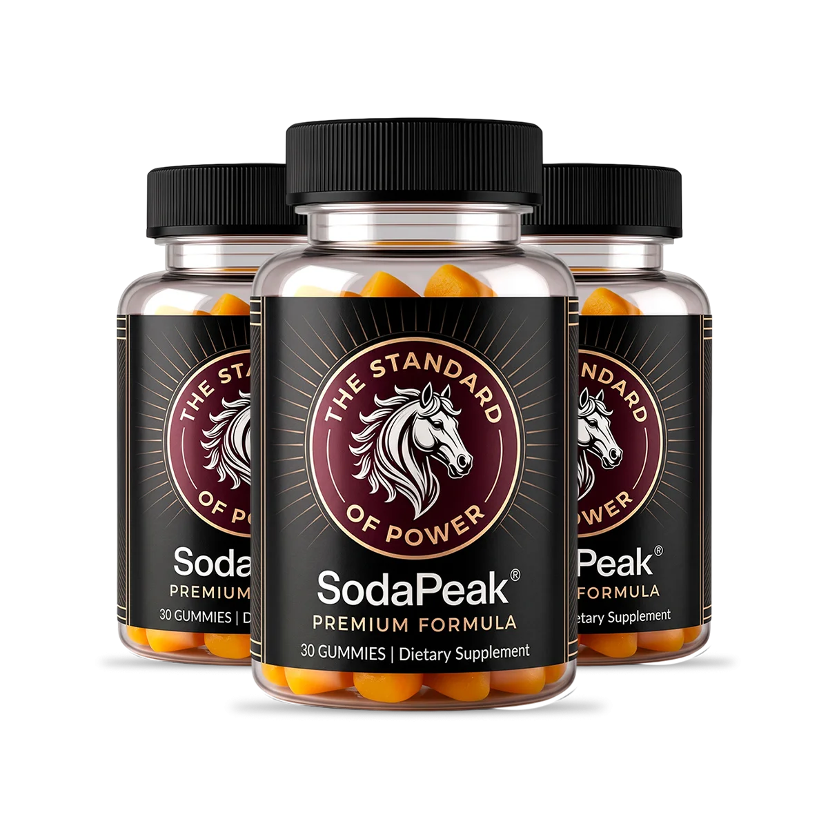 SodaPeak 3 Bottles