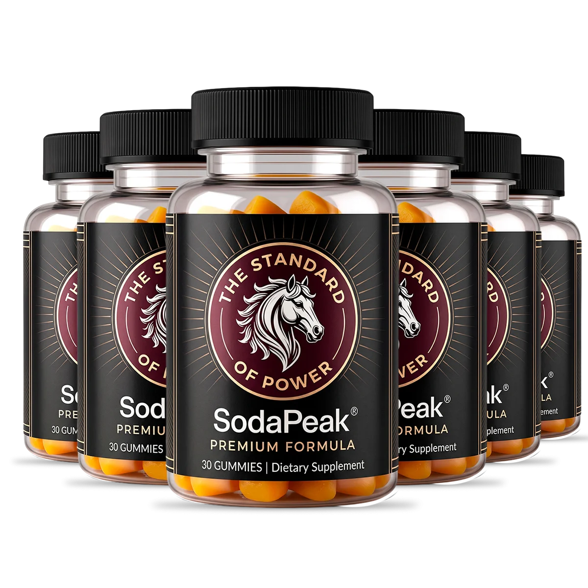 SodaPeak 6 Bottles
